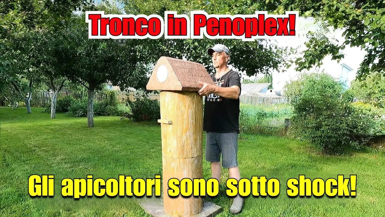 Costruisci il tuo alveare e guadagna con il miele naturale!