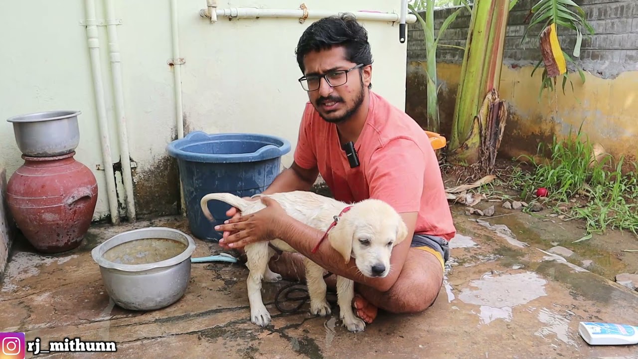 MAARA KULICHUTANN😍 /மாறா வளந்துடான்