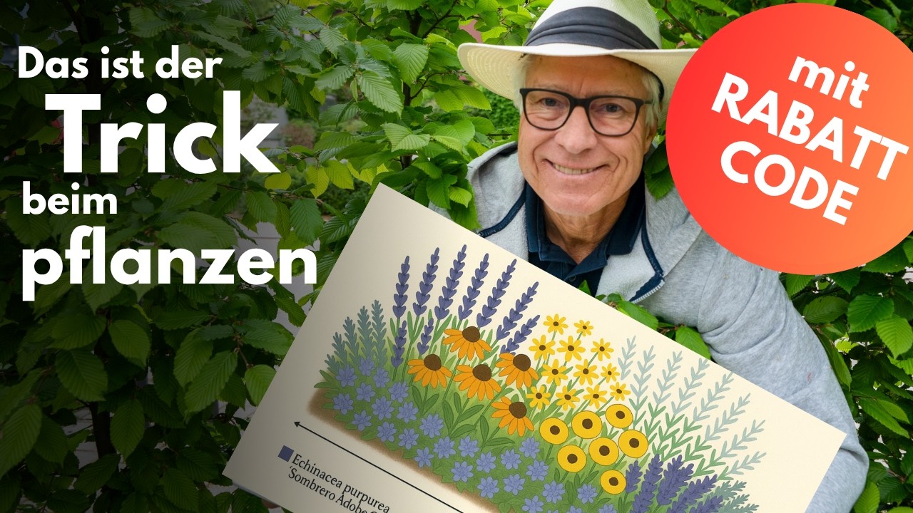 🌿 Garten pflegeleicht bepflanzen – Profi-Tipps für schöne & einfache Pflanzungen!