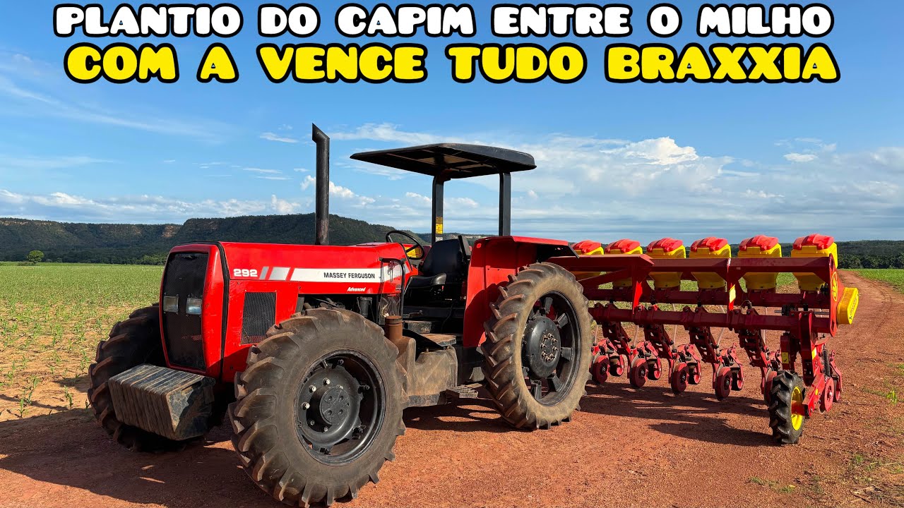 PLANTIO DO CAPIM ENTRE O MILHO // MF 292 E VENCE TUDO BRAXXIA 13000