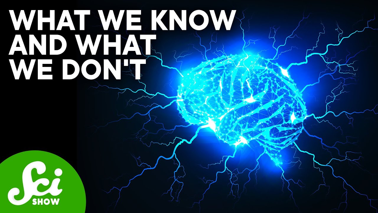 Why Do Antidepressants Cause Brain Zaps?