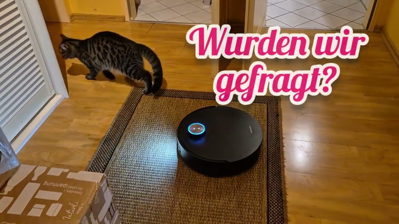 Unsere Katzen verfolgen den neuen DREAME Saugroboter 😂😂😂🐾🤖🐾
