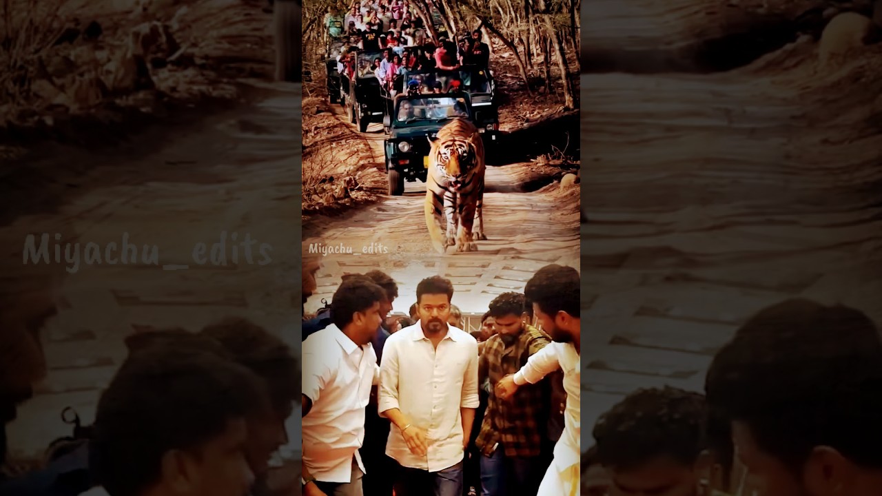 🔥தளபதி..#shorts #short #thalapathyvijay #vijaymass #vijay #thalapathy #masswhatsappstatusvideos