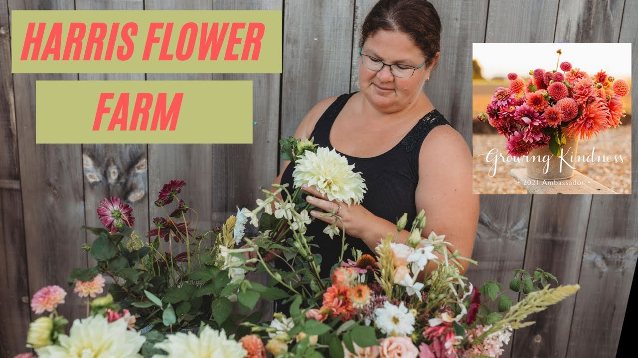 Canadian Flower Farmer Janis Harris of Harris Flower Farm