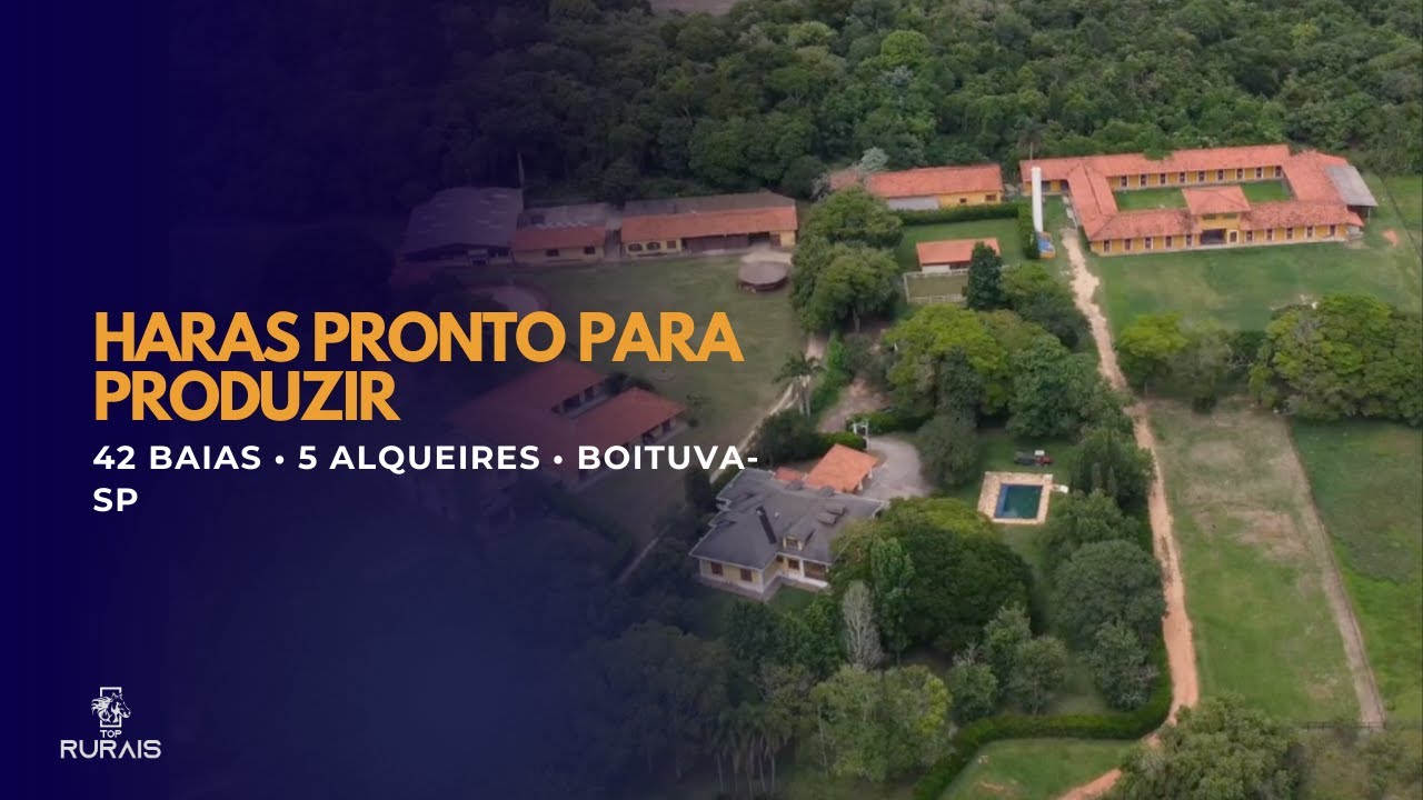 Haras produtivo &agrave; venda em Boituva &ndash; 5 alqueires com 42 baias e estrutura completa