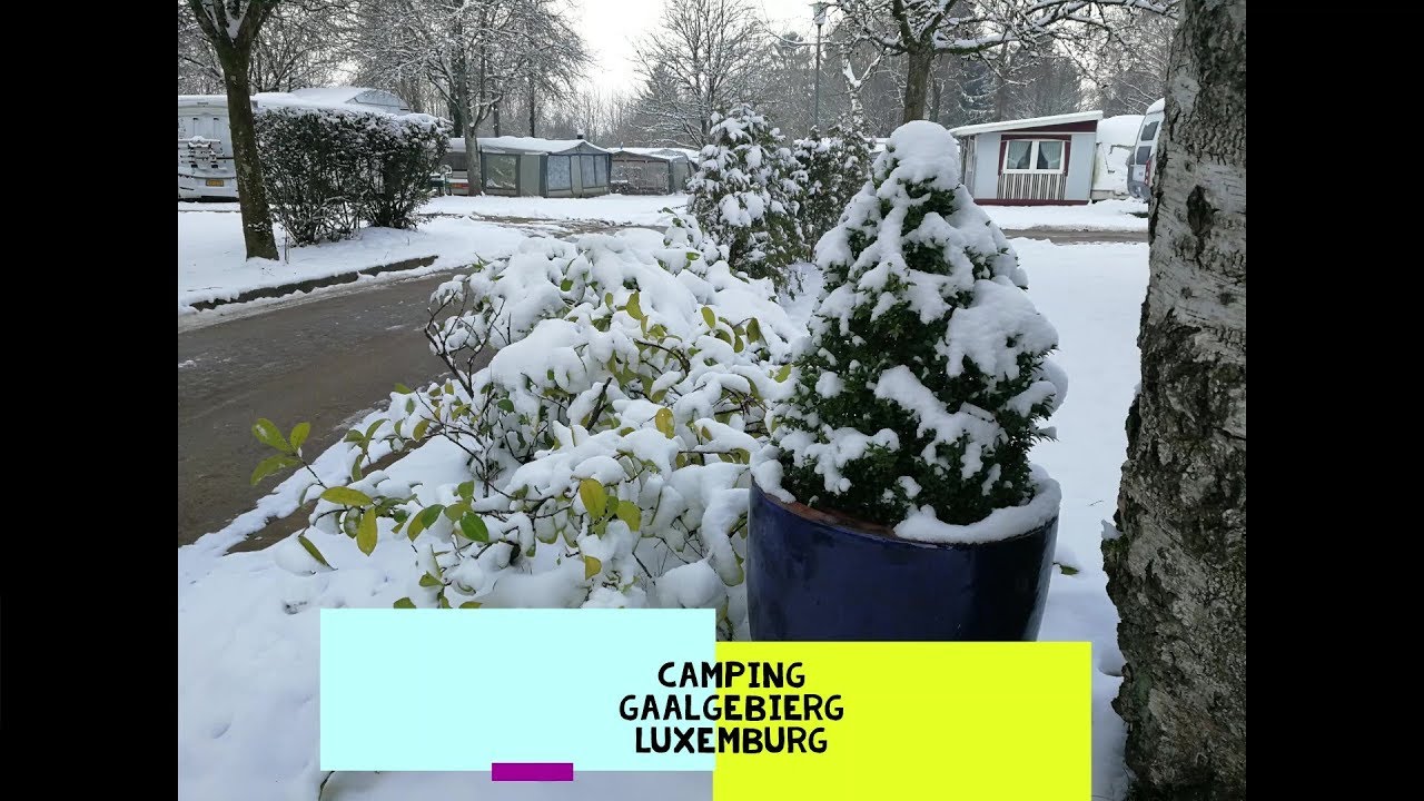 Caravan Life Nro 93 Luxemburg Camping Gaalgebierg