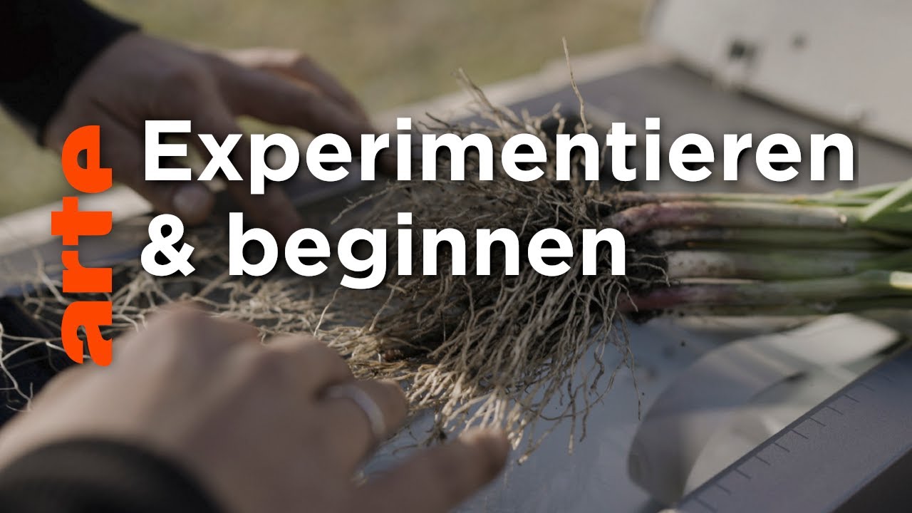 Pop-up Diskussionsformat: Wie miteinander reden? | Theorie & Praxis | ARTE