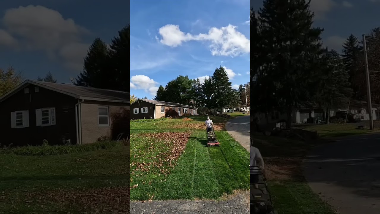 #leaf #cleaning #bag or #mulch #before #after #diy #oddlysatisfying #satisfying #timelapse #lawn