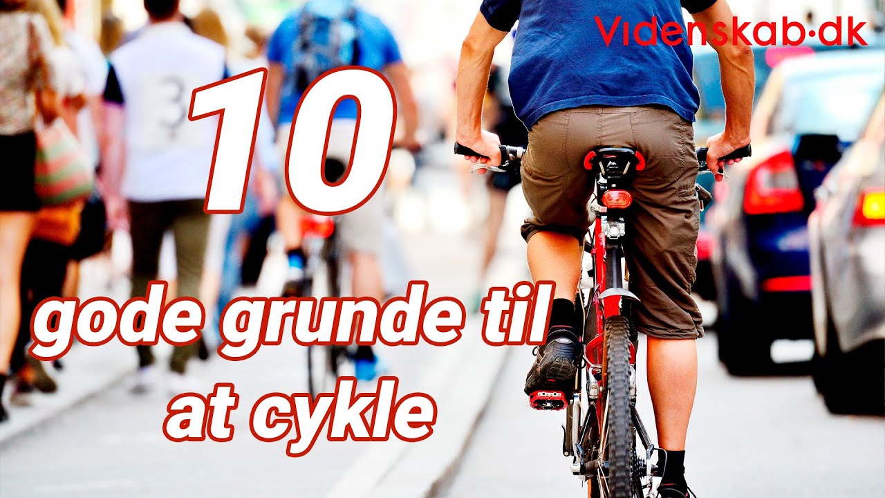 10 gode grunde til at cykle
