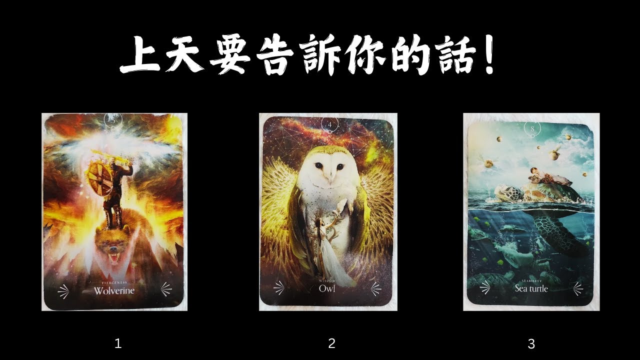 CC字幕｜上天有話要告訴你！你今生遇到的一切，不是偶然✨（人生開始理順🌃）