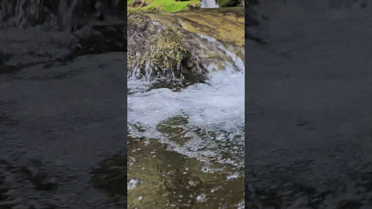 HDR nature 4K  Discover the Hidden Gems of Miljacka River: 32 #miljacka #sarajevobosnia #sarajevo