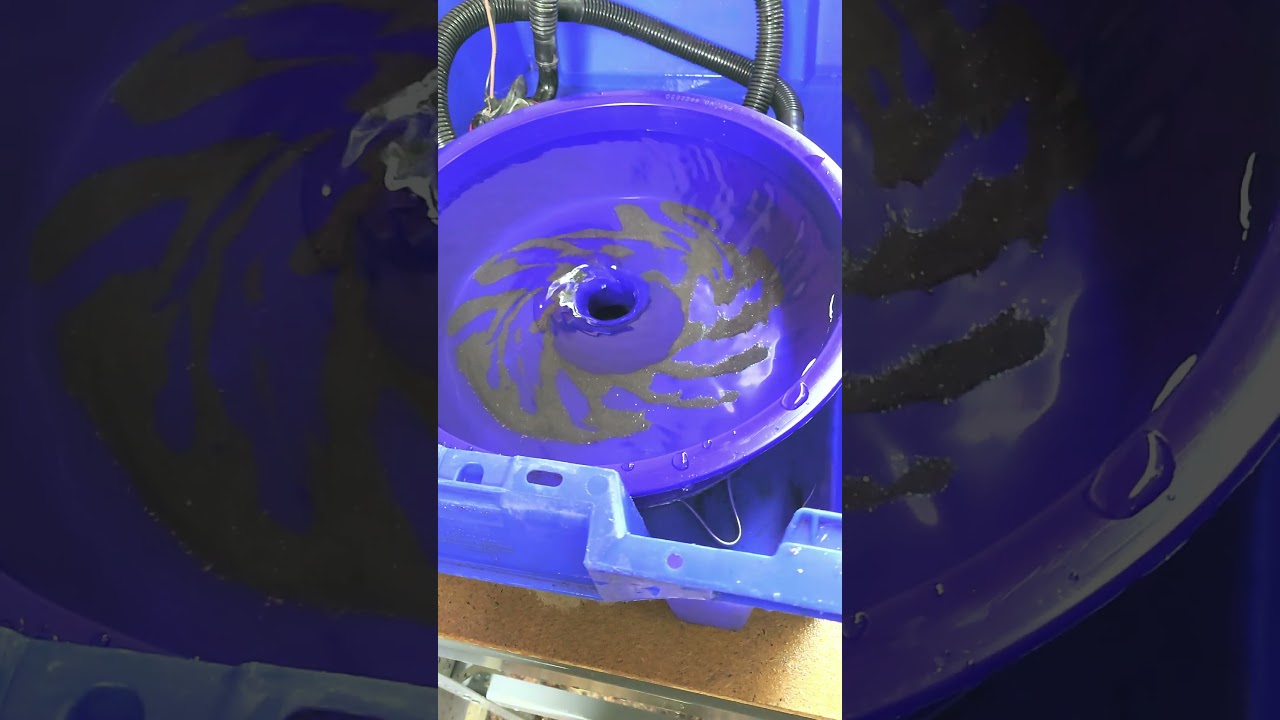 Fine Gold capturing #goldmining #goldpanning with the Blue Bowl