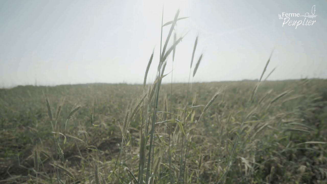 2021 - SEMAINE 24 - ENGRAIS VERT - COURGE - ASPERGE ET BETTERAVE