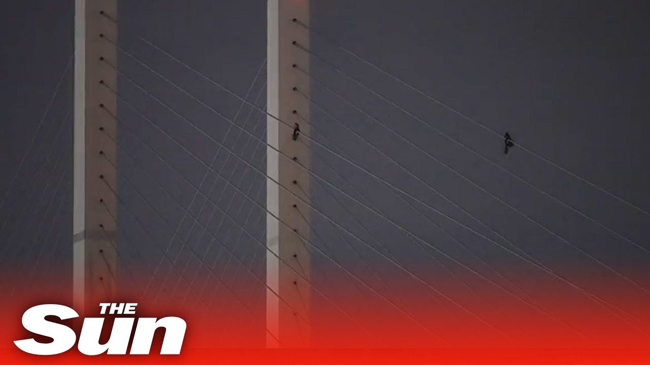 Activists climb Dartford crossing bridge causing M25 traffic chaos