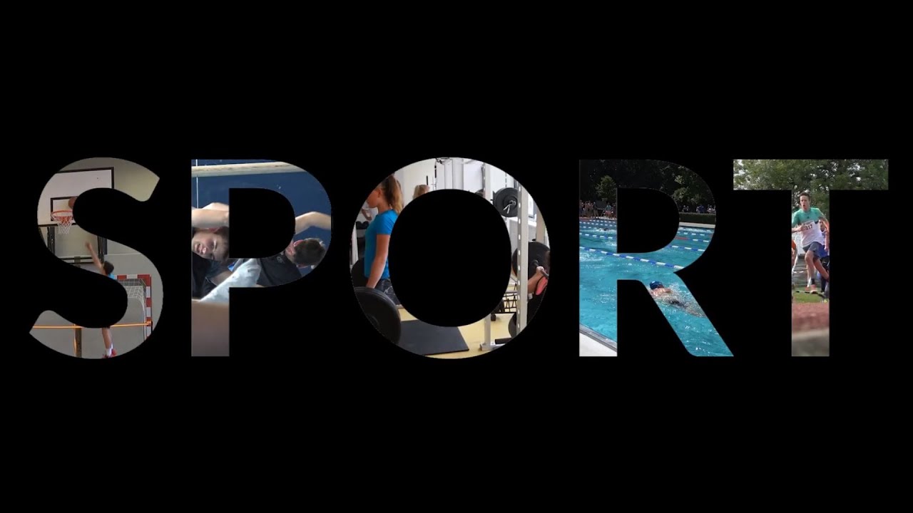 Informationsvideo; Sportzweig