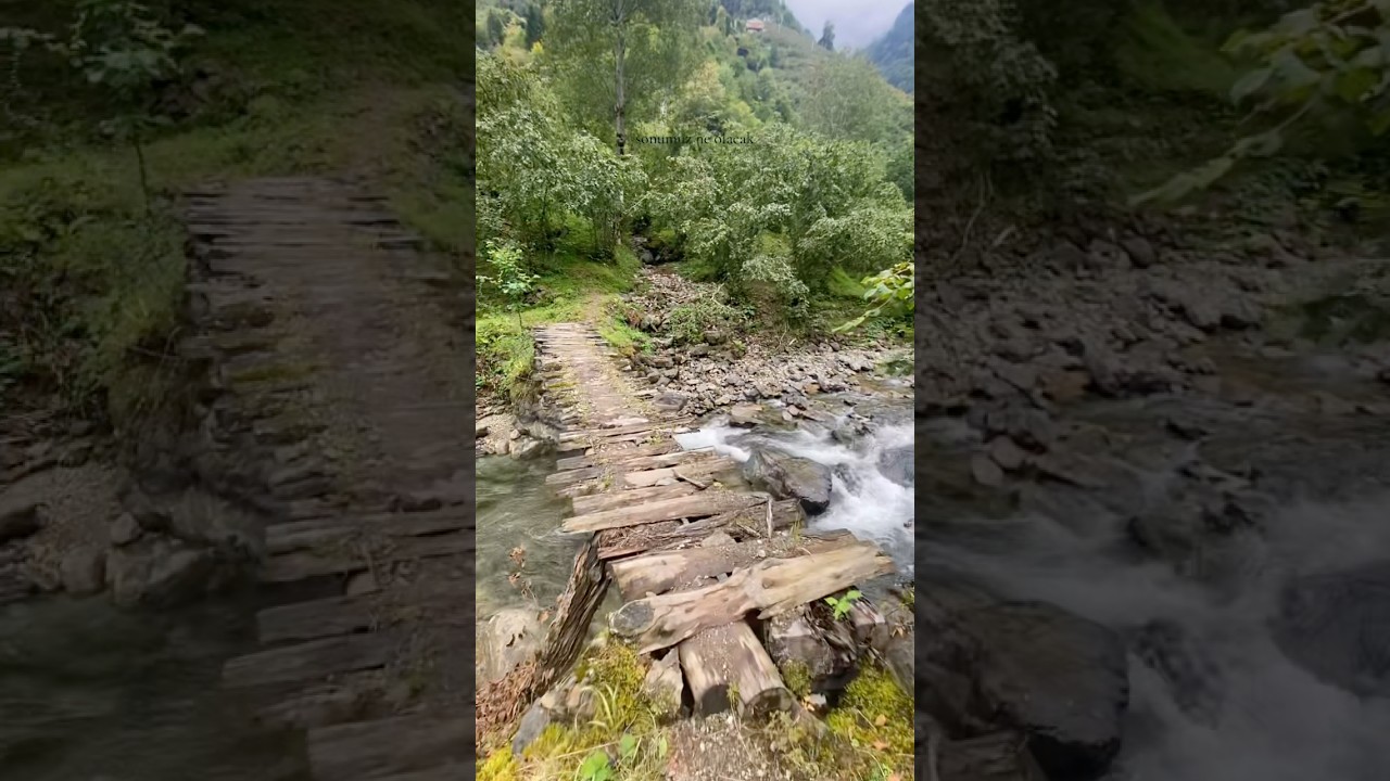 Karadeniz&rsquo;de akan dere ve k&ouml;pr&uuml; #karadeniz #dere #travel