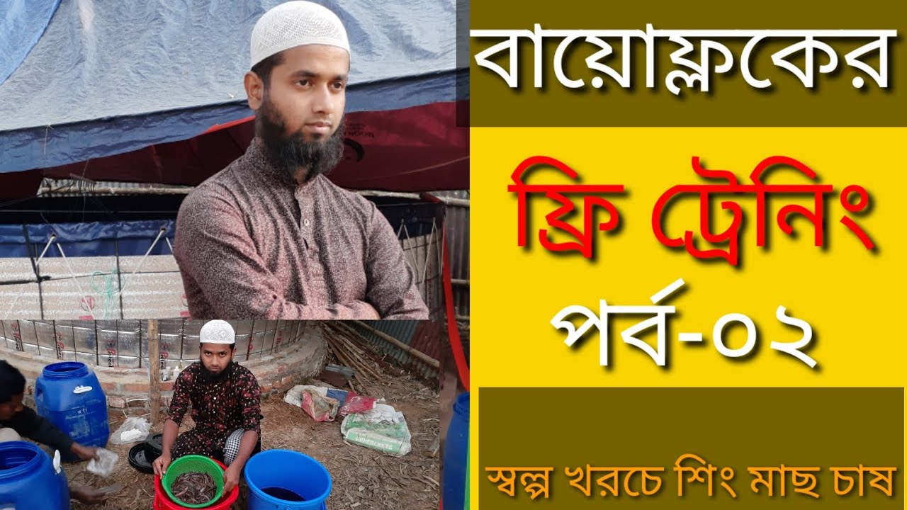 বায়োফ্লকের ফ্রি ট্রেনিং পর্ব ০২ l শিং মাছ চাষ পদ্ধতি biofloc technology