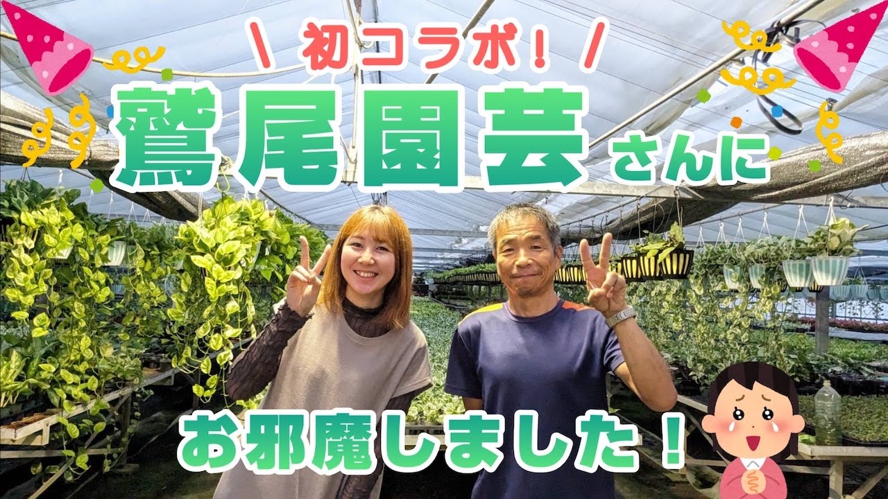 【鷲尾園芸さんにお邪魔しました】初コラボ編《NOKO'sちゃんねる》《ノコズ》