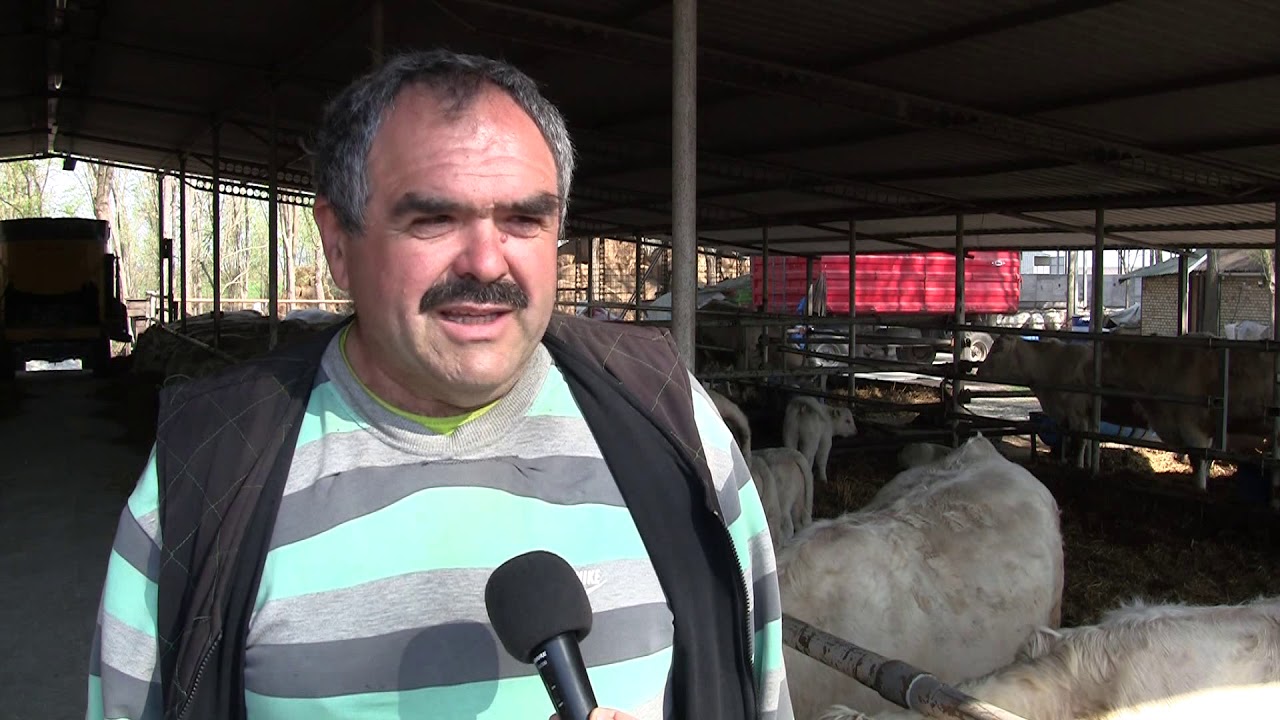 Pannon Gazda - 2019.04.12.