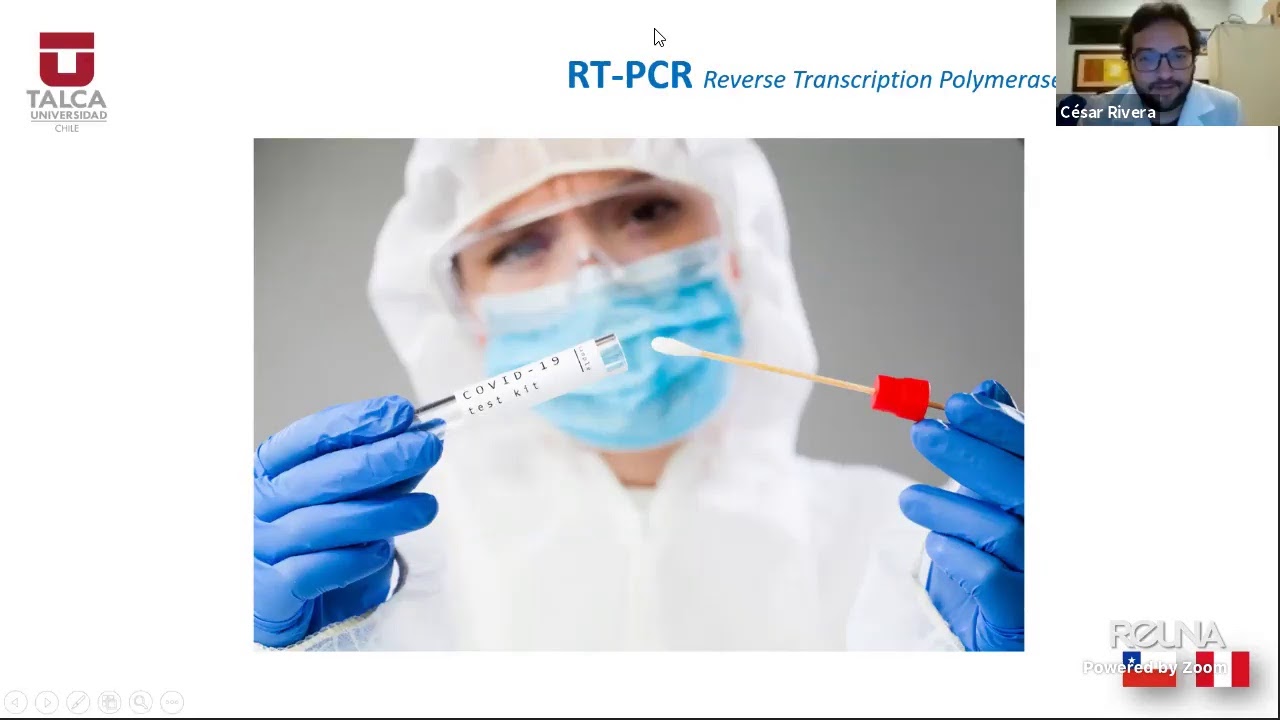 Reacción en cadena de la polimerasa con transcriptasa inversa (RT-PCR) | Iniciación Científica #15