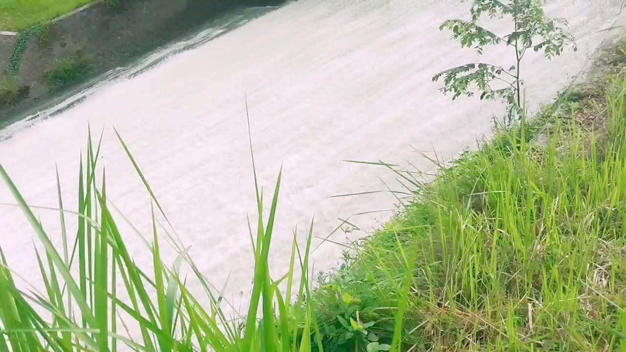 Lagu Santai Viral Tiktok 2026 — Lagu Pop Indonesia Terbaru 2026 🍃 | Pop Hits Indonesia 2026 🤍🎧