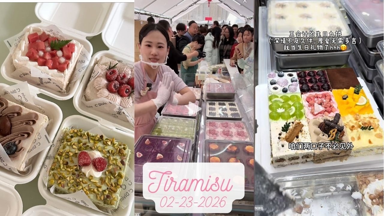 Tiramisu Cake Livestream Sale (110 trays)|Zhao Zhao #02232026 #tiramisu #cake #dessert
