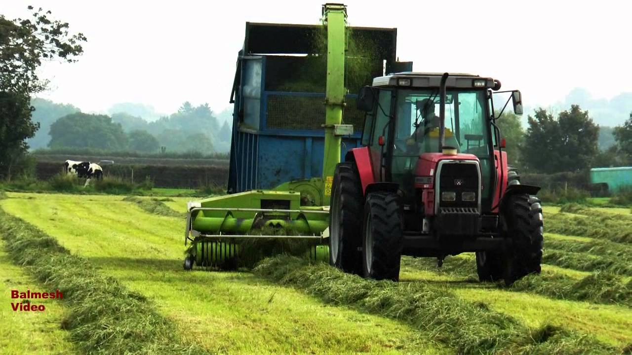 MF 6170 pulls the Claas. - Silaging with a Trailed Chopper