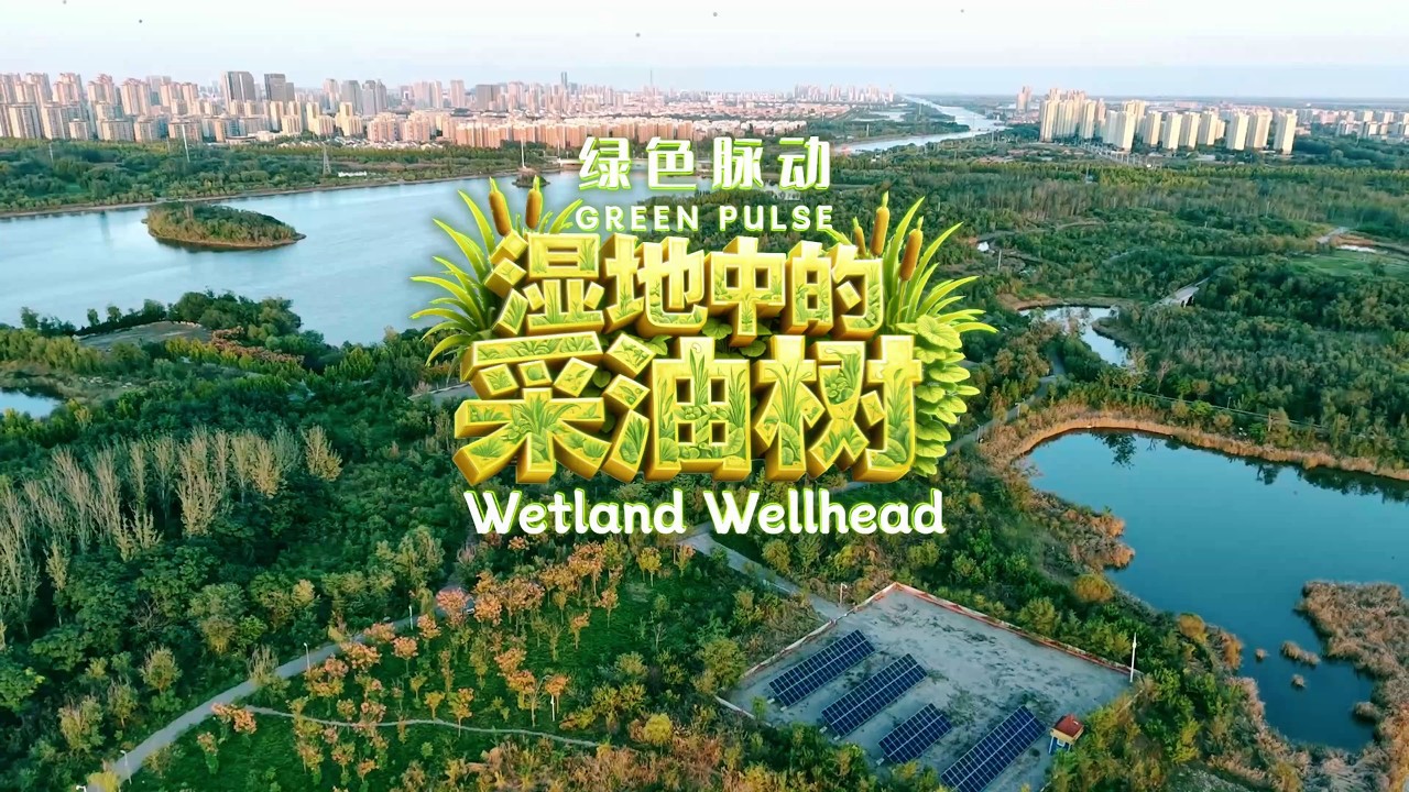 Green Pulse: Wetland Wellhead