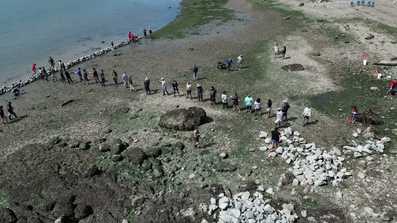 Swinomish Indian Tribal Community builds first modern clam garden in the United States