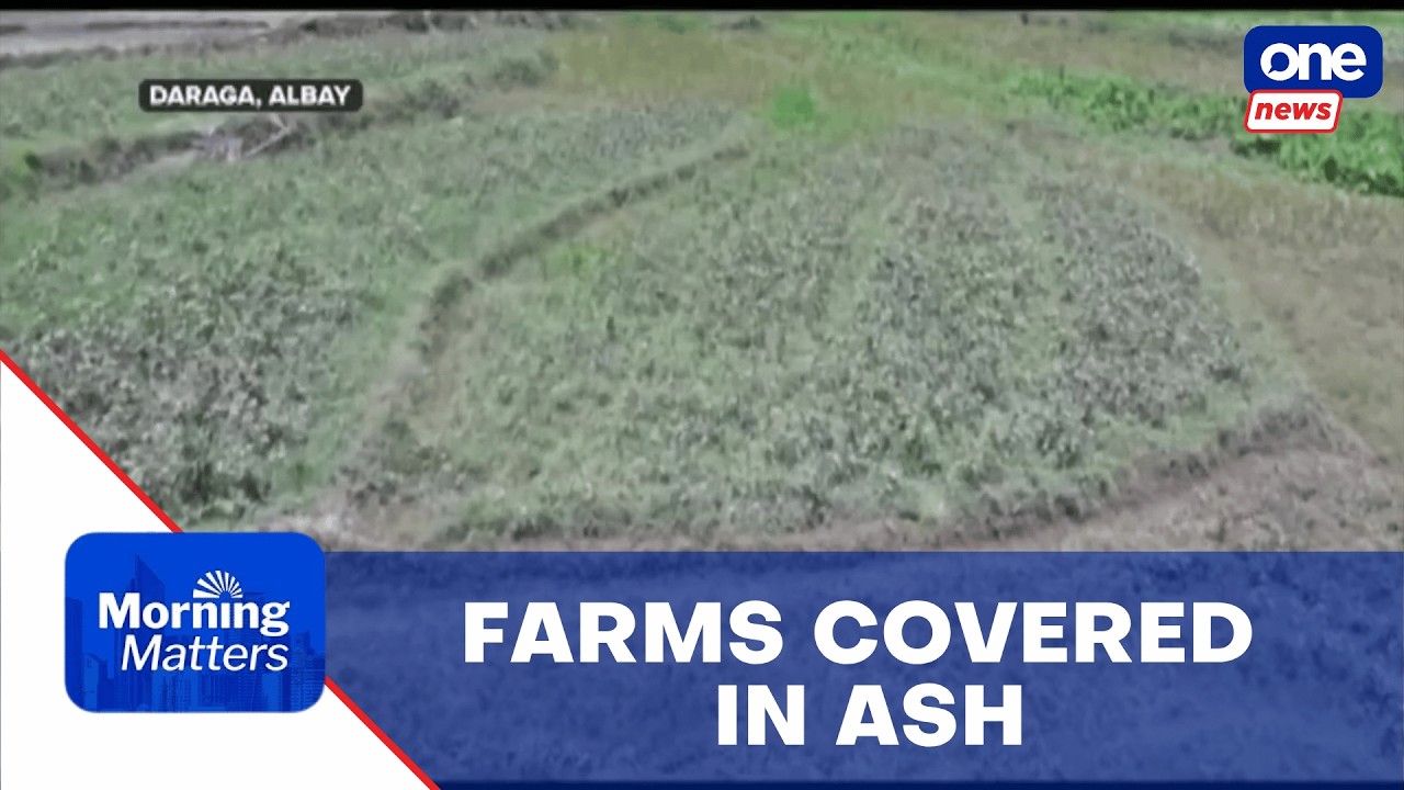 Albay agriculture hit by Mayon ashfall
