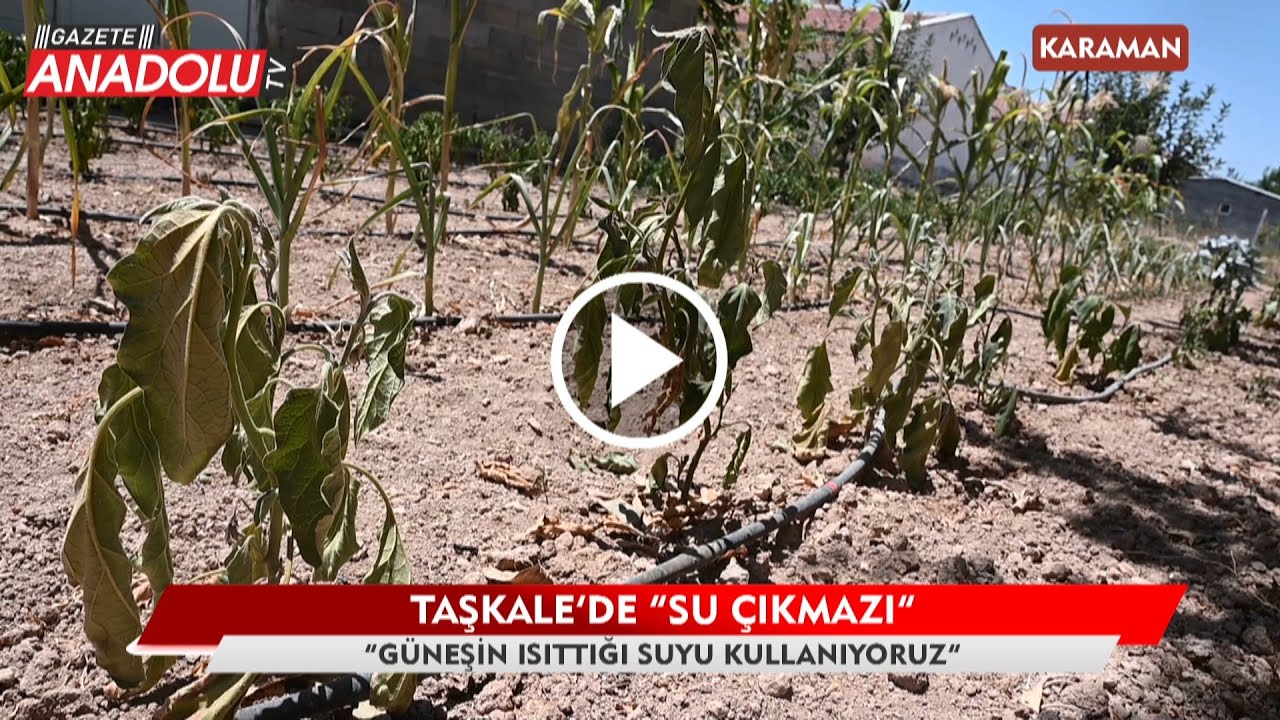 Taşkale'de 