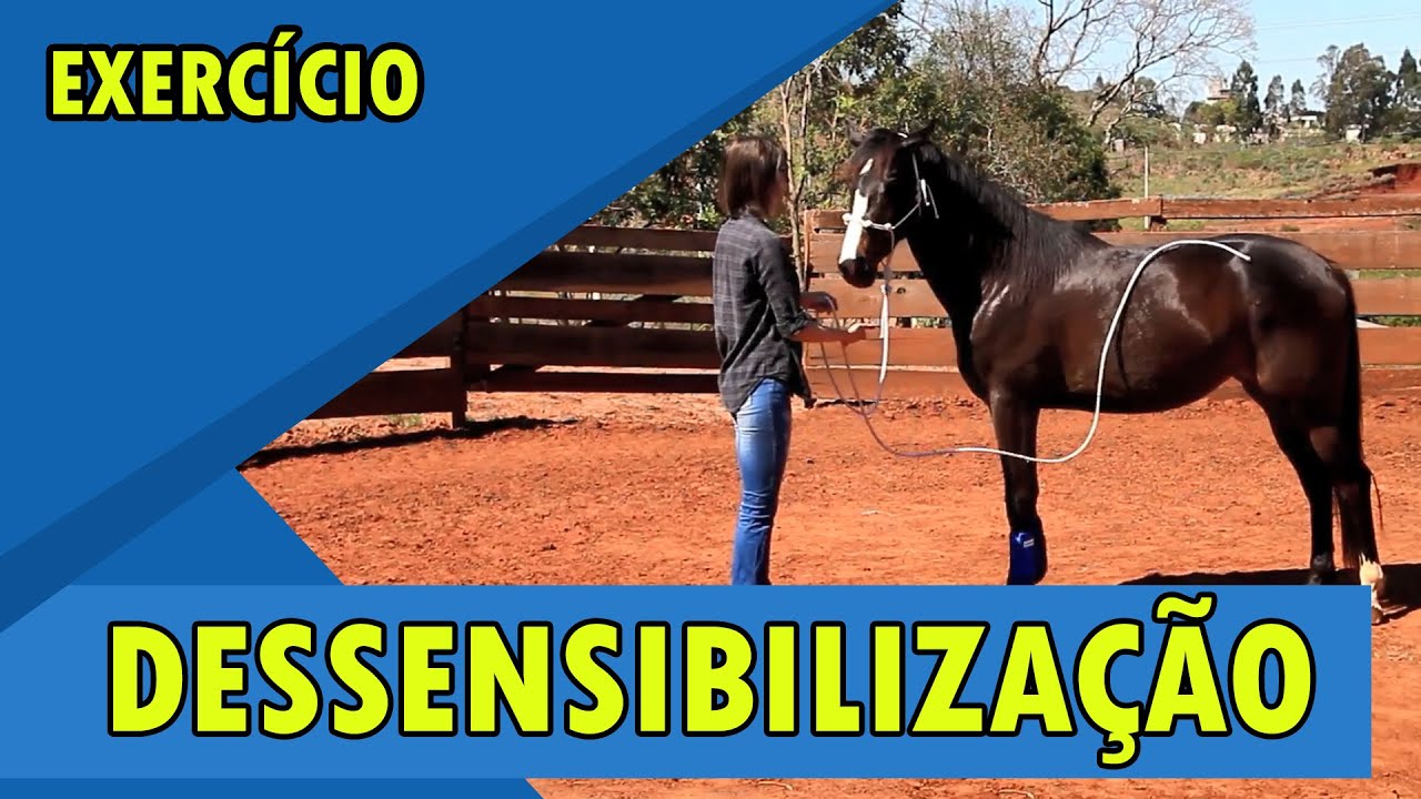DOMA - Dessensibilização de Corda e Stick