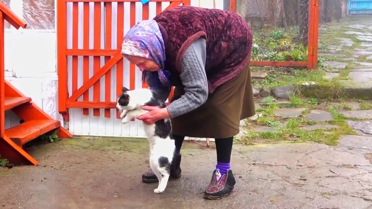 Один день из жизни молаканской семьи │ Азербайджан, Шемахинский район