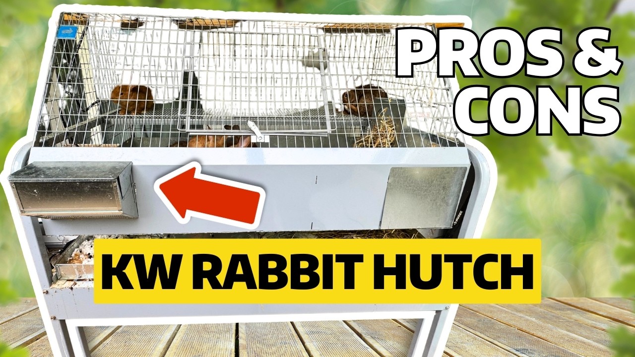 KW Rabbit Cage Setup: Is It Worth It for Homesteaders?