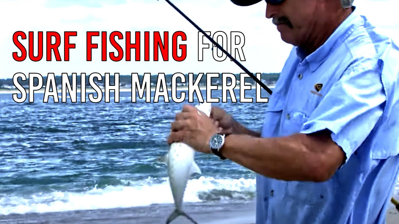 Expert Tips: Surf Fishing for Spanish Mackerel