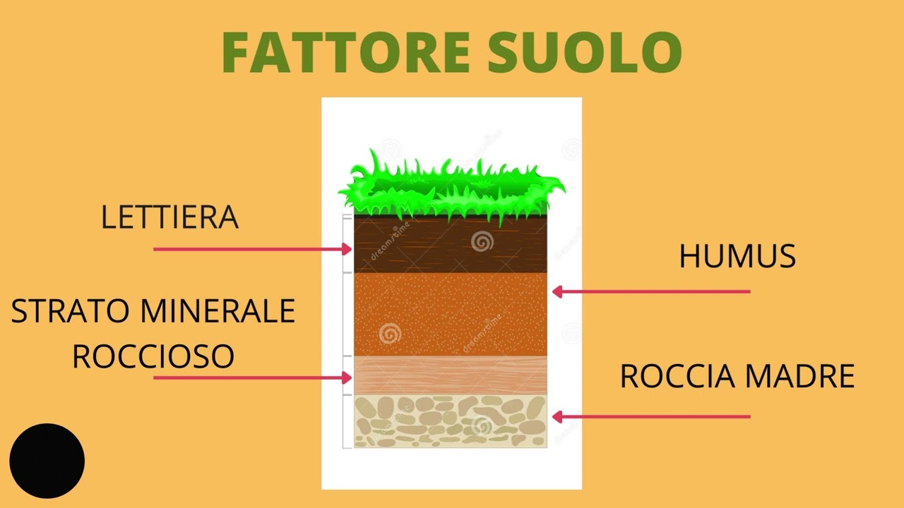 AGRICOLTURA