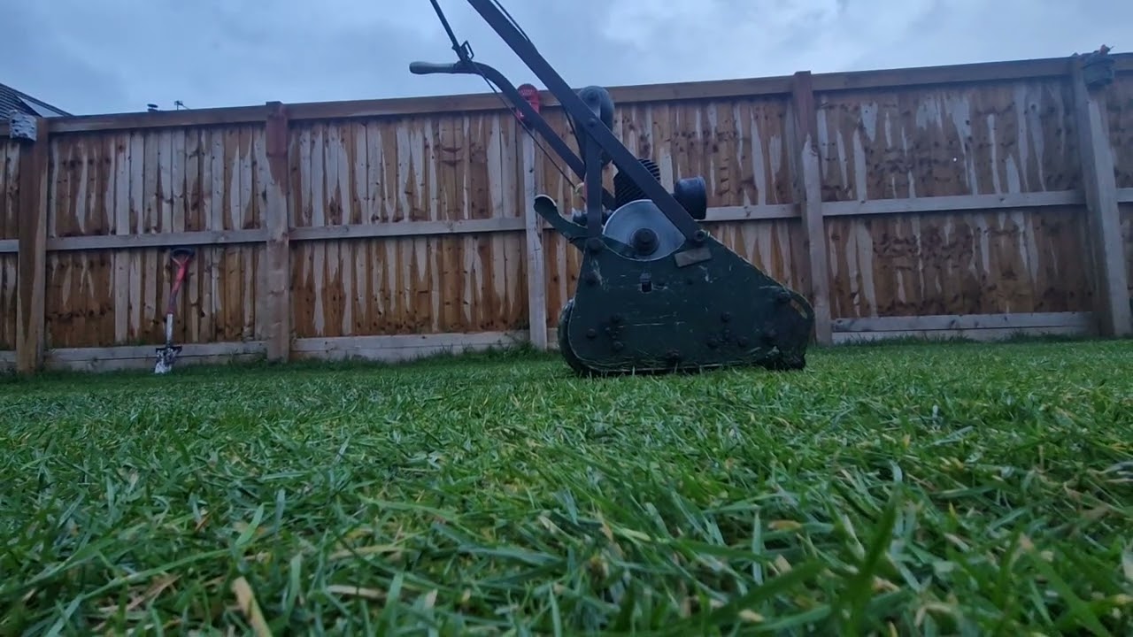 Cutting the grass with the 1953 Atco lightweight mower!
