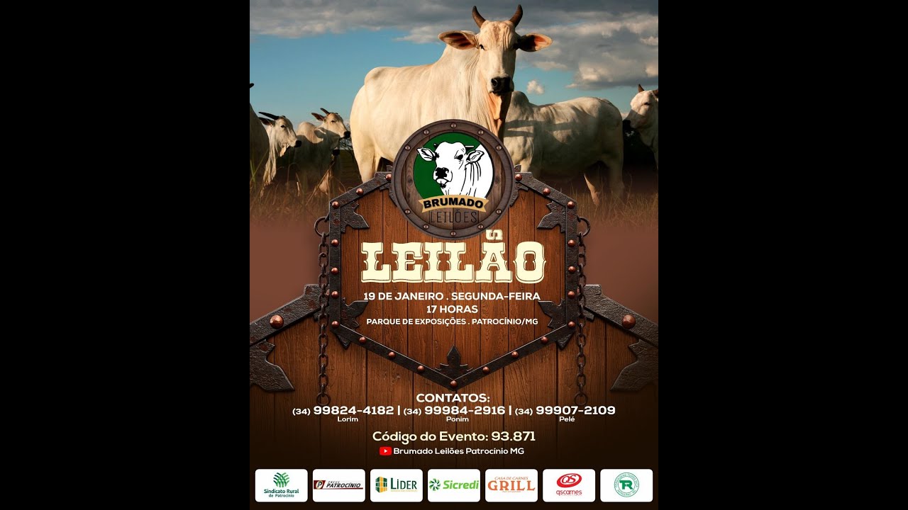 138°LEILÃO MISTO  - BRUMADO LEILÕES | PATROCÍNIO/MG - 19/01/2026