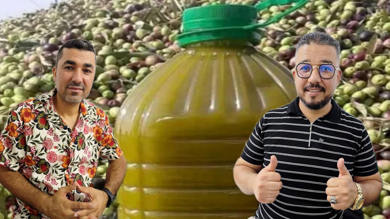 🔴زيت الزيتون البكر… نكهة الطبيعة وصحة الجسد!  مضاق أصيل، جودة عالية، عند (ميلود بوثامنت)