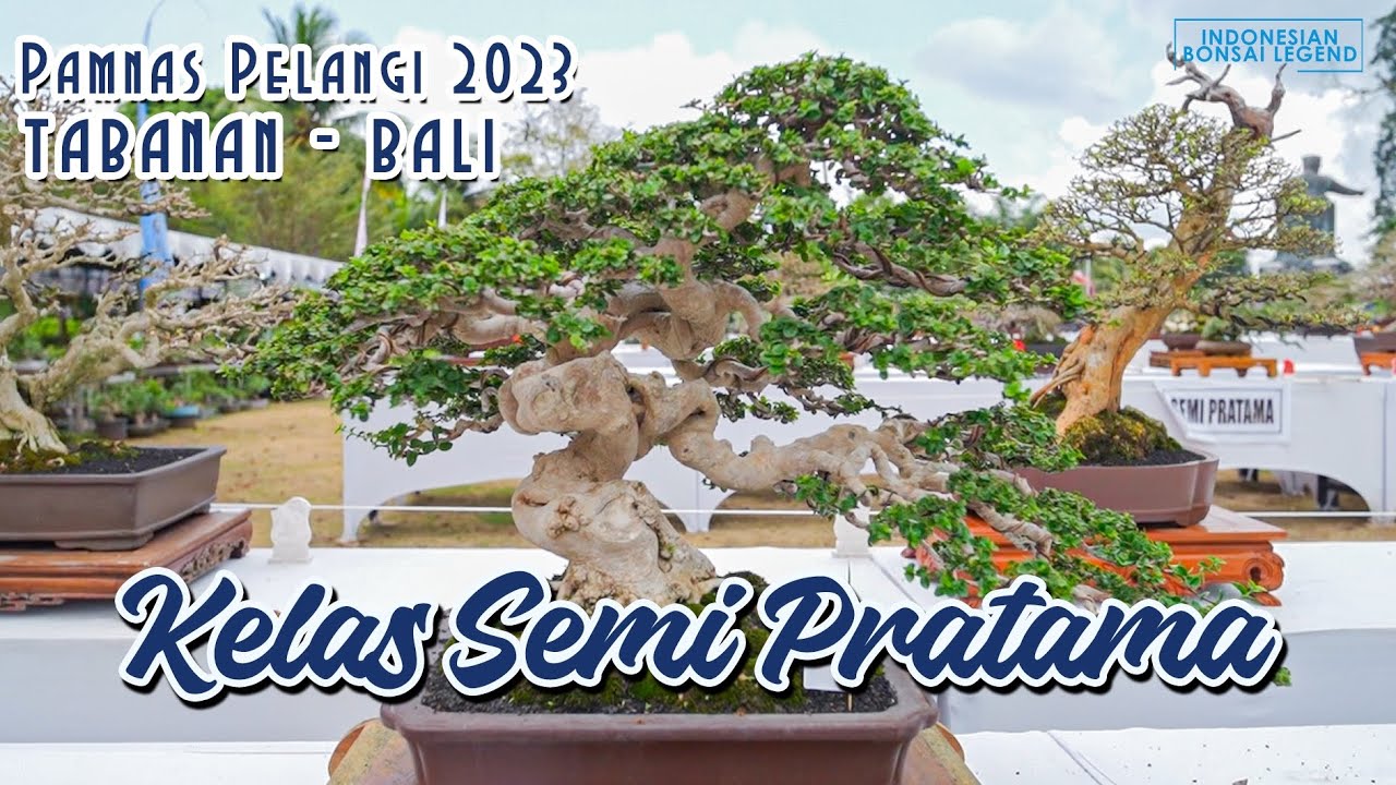 KELAS SEMI PRATAMA @PAMNASBONSAIPELANGITABANAN2023