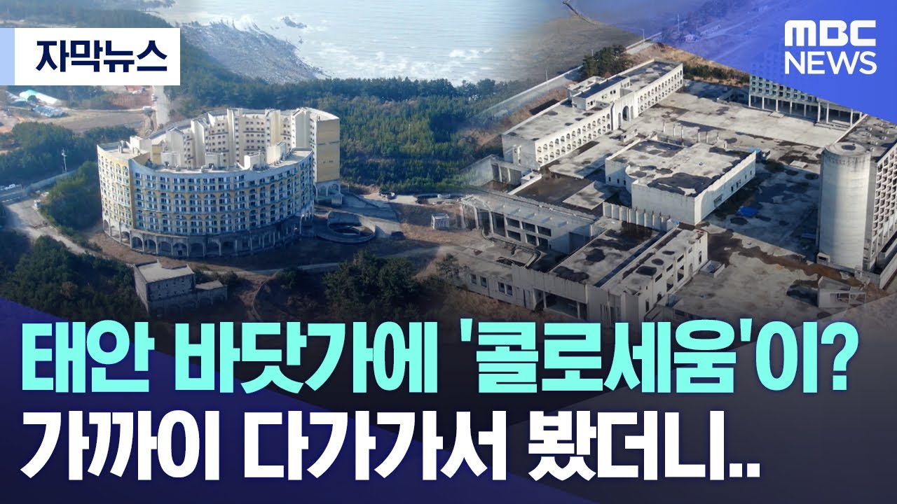[자막뉴스] 태안 바닷가에 '콜로세움'이? 가까이 다가가서 봤더니.. (대전MBC 뉴스)