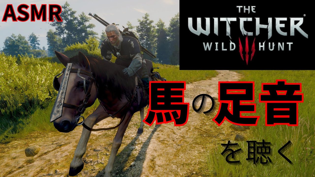 【ASMR/環境音】ウィッチャー3 馬の足音 / Witcher 3 Horse Footsteps ASMR