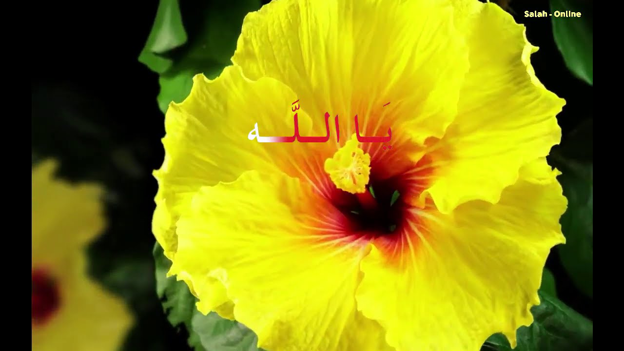 Mémoriser les 99 noms d’ALLAH d’une manière ludique