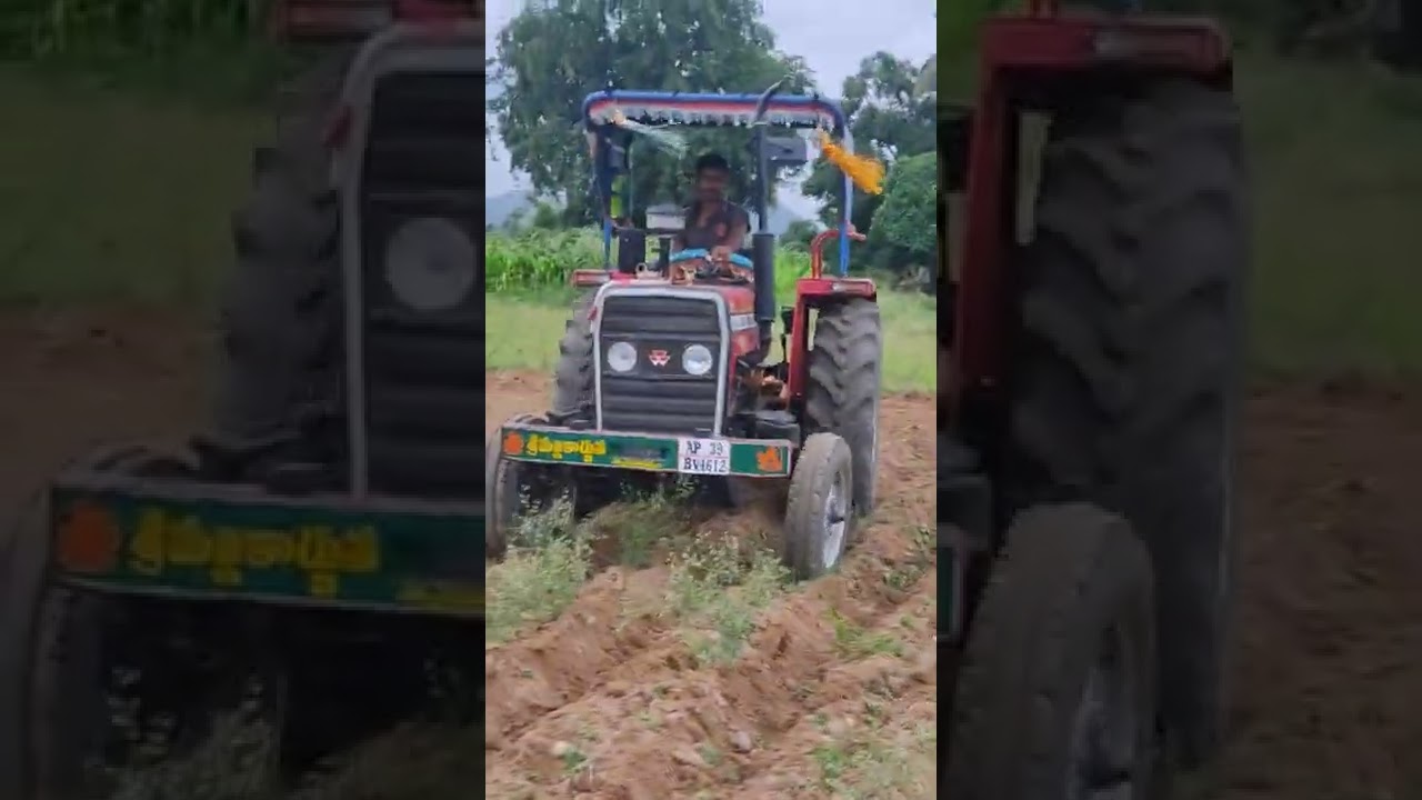 241 DI Massey Ferguson PD