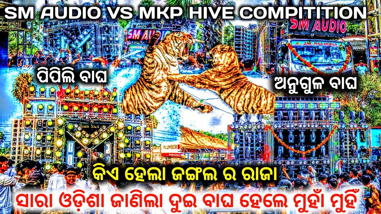 Sm Audio Vs Mkp Dj Hive Compitition || Sm Audio,Mkp Dj