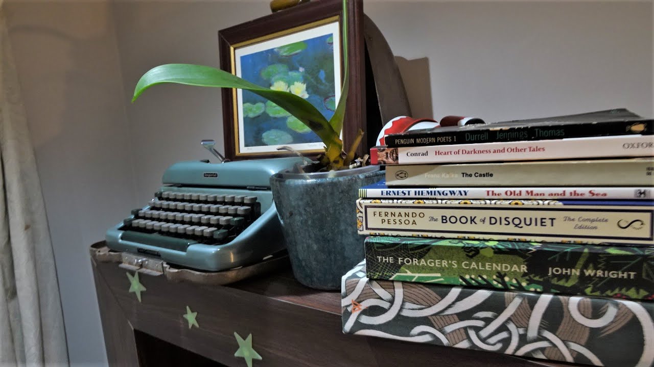 BOOK HAUL with a Special Guest!