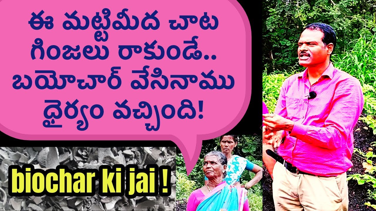 ఈ మట్టిమీద చాట గింజలు రాకుండే.. బయోచార్ వేసినాము ధైర్యం వచ్చింది!  Miracle of biochar in the field