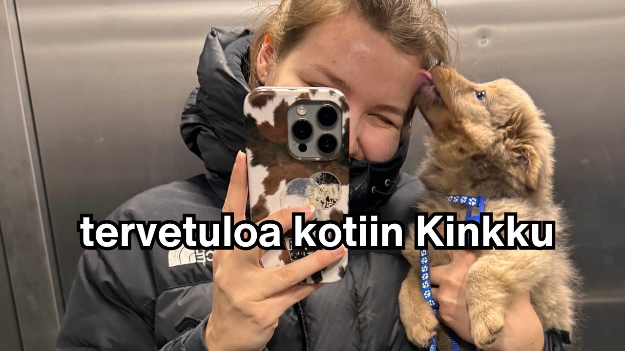 meille tuli koira 🥹