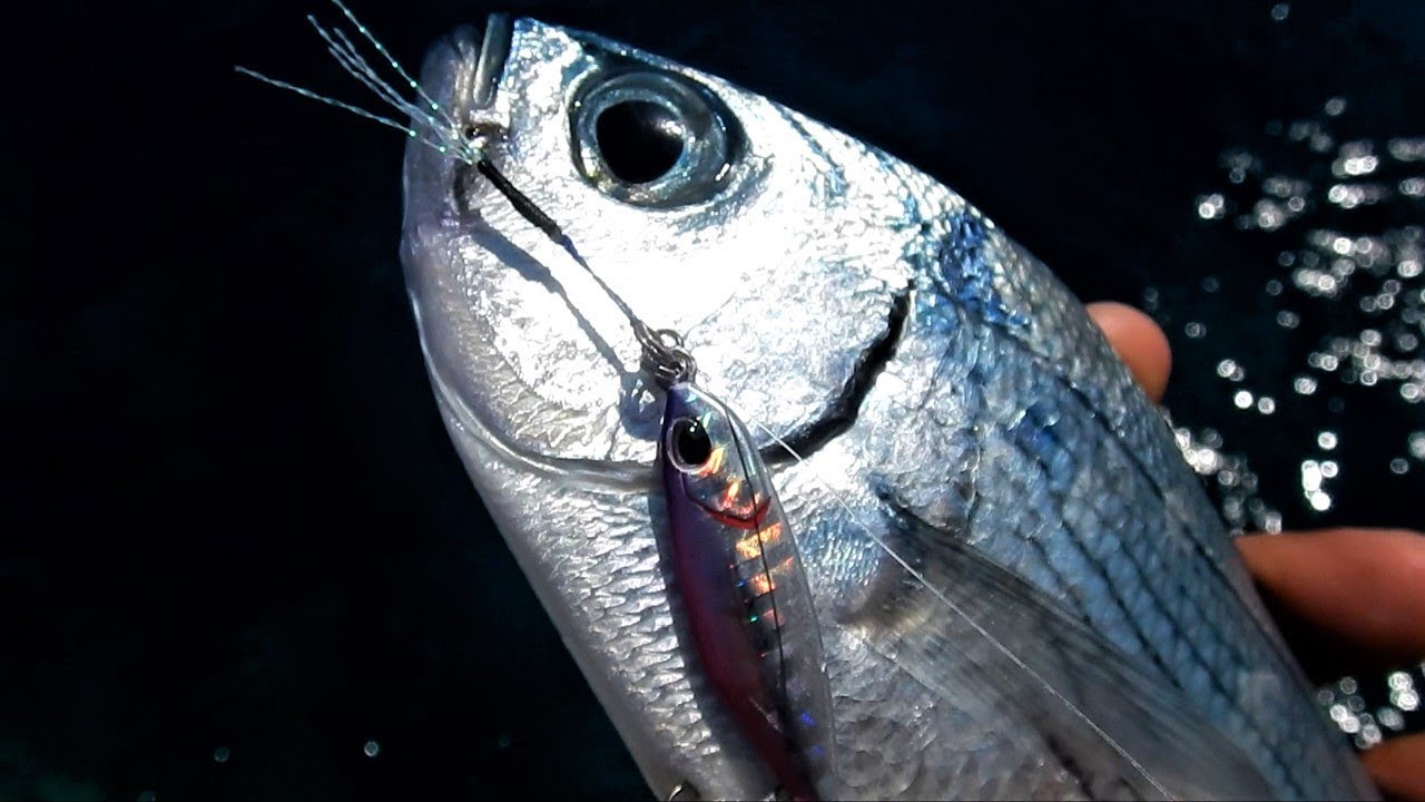 Ψάρεμα με πλανάκι DUO Tetra jigs #2