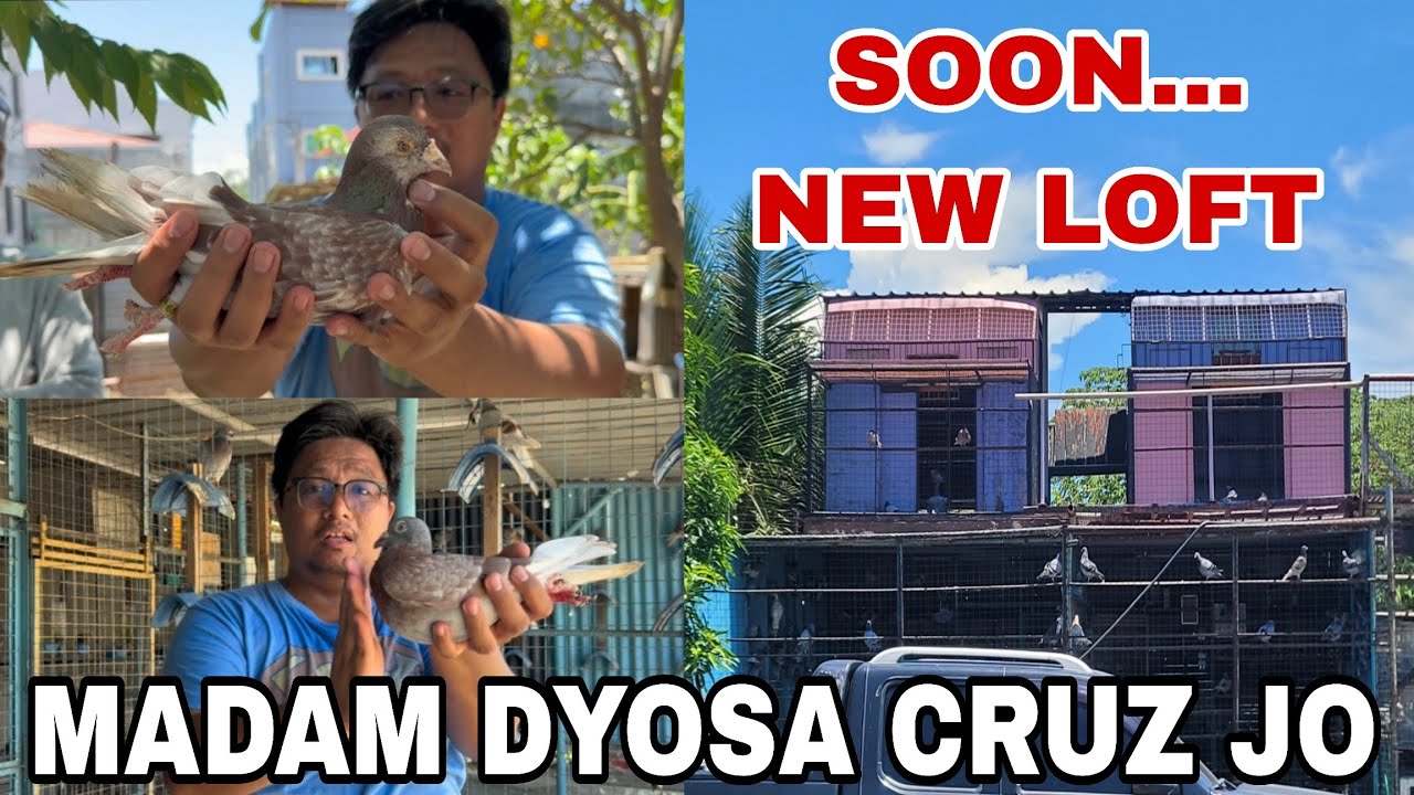 LOFT VISIT AND PIGEON TALK | MADAM DYOSA CRUZ JO NG MALOLOS, BULACAN. SOON... NEW LOFT 